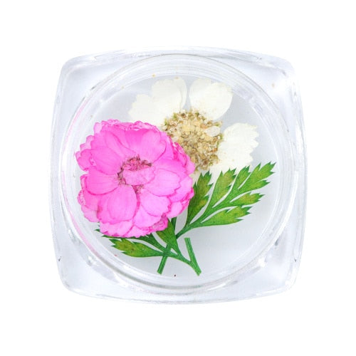 3D Dry Real Flowers Nail Decoration