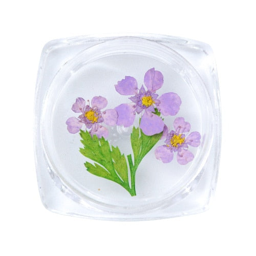 3D Dry Real Flowers Nail Decoration