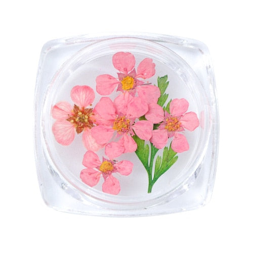 3D Dry Real Flowers Nail Decoration