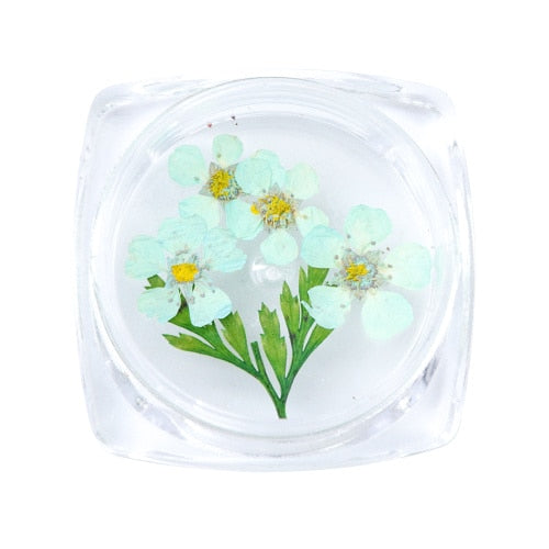 3D Dry Real Flowers Nail Decoration
