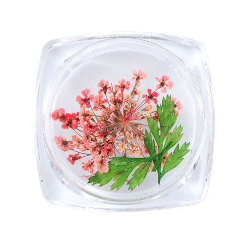 3D Dry Real Flowers Nail Decoration