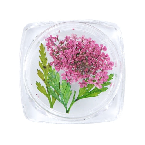 3D Dry Real Flowers Nail Decoration