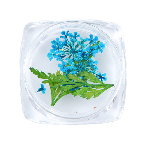 3D Dry Real Flowers Nail Decoration