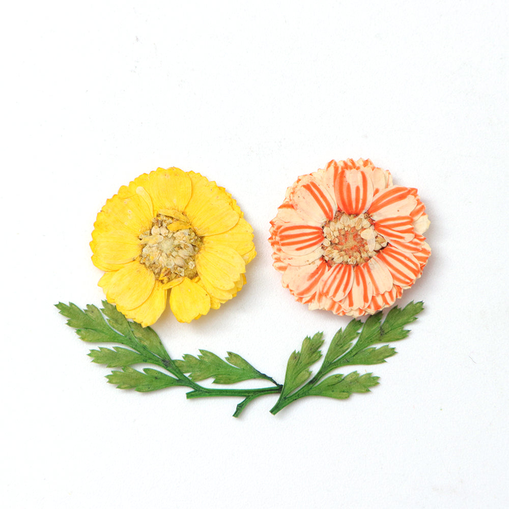 3D Dry Real Flowers Nail Decoration